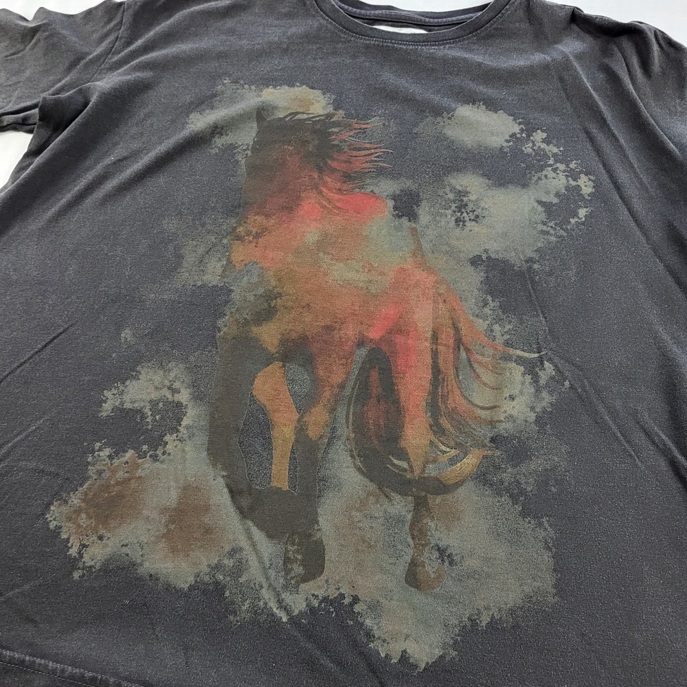 Wrangler x Lainey Wilson Watercolor Horse Short Sleeve Oversized Tee Large - Picture 3 of 12